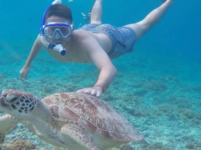 molamola1 Mola Mola Dive Bali