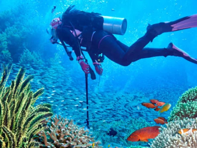 Mola Mola Dive Bali