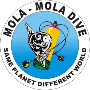 Mola Mola Dive Bali molamoladigingbali Mola Mola Dive Bali