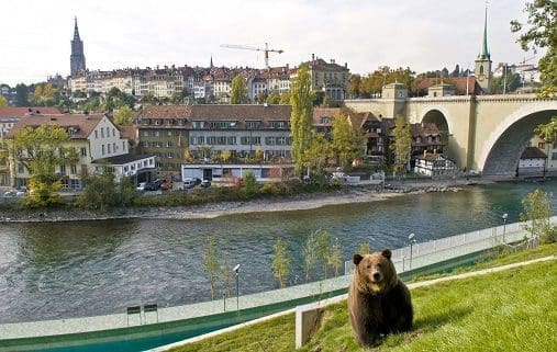 Dählhölzli zoo