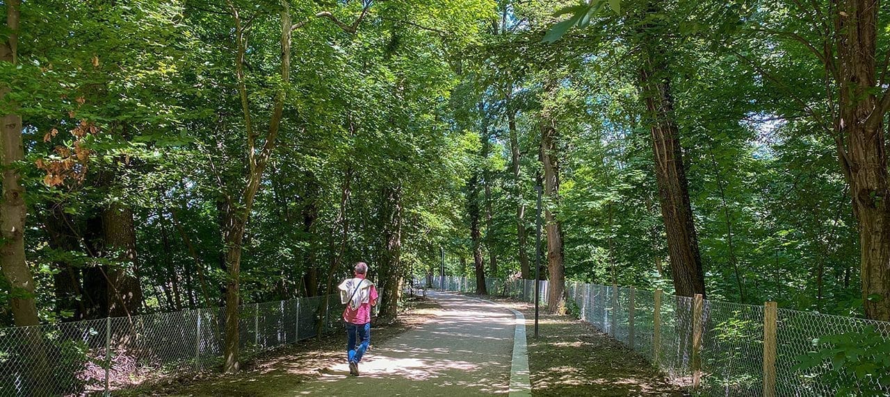 Bois de la Batie Geneva
