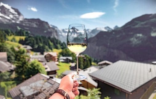 Lavaux Vineyards